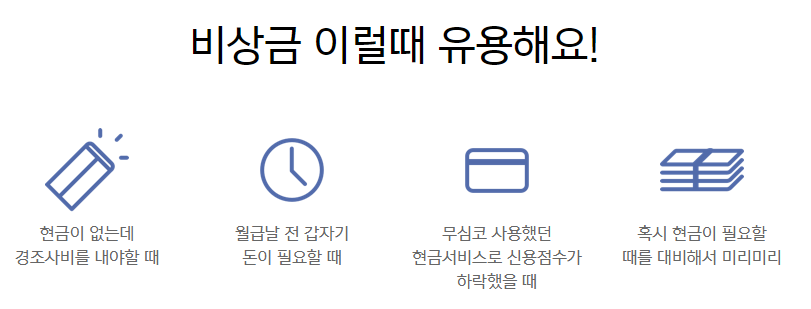 소액대출 100만원
