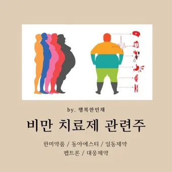 비만치료제 대장주 관련주 TOP5_21