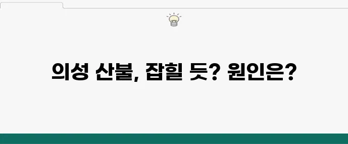 의성산불 발생 원인과 대응 상황 정리