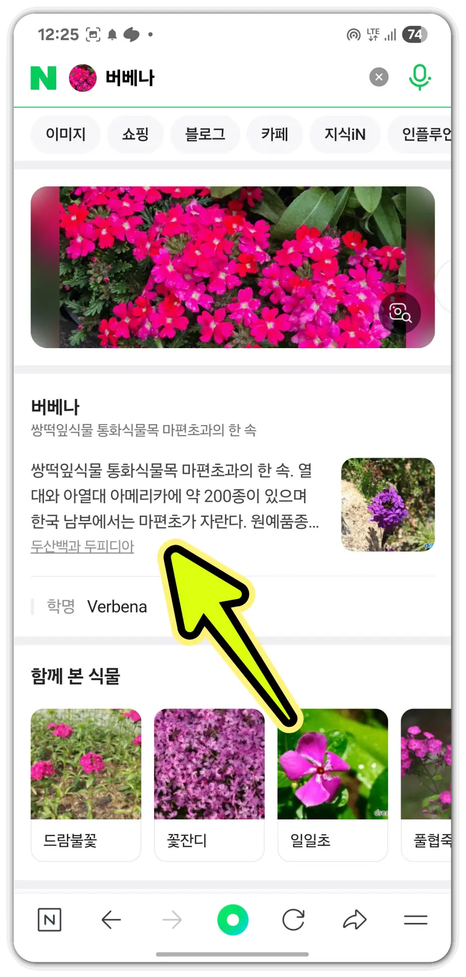 사진으로-꽃-이름-검색-방법