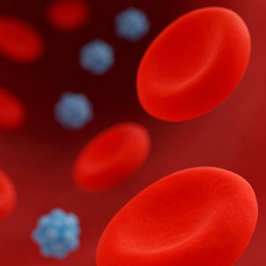 당화혈색소 란 - 당뇨 진단, 치료 경과 확인 등에 중요한 기준