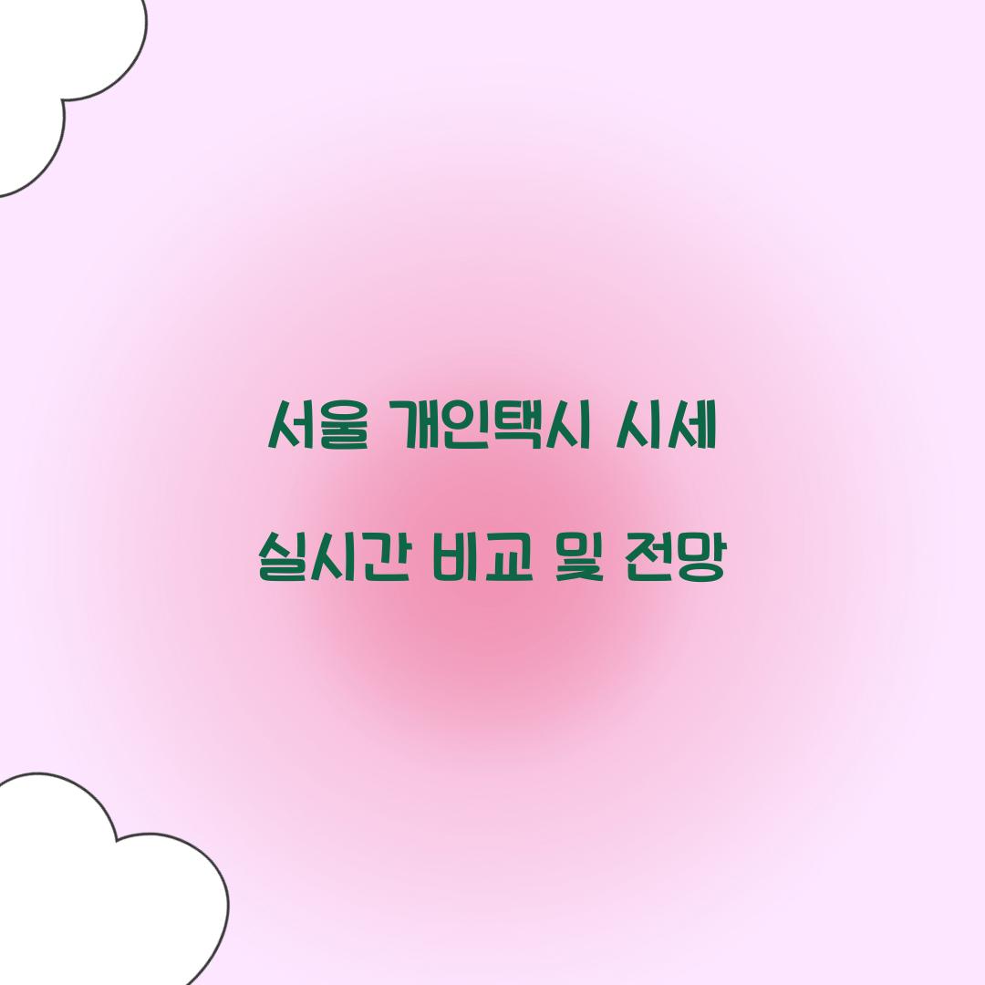 서울 개인택시 시세