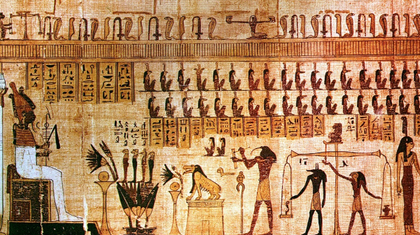 천연-소화-효소-다이어트-슈퍼푸드-카뮤트-호라산밀