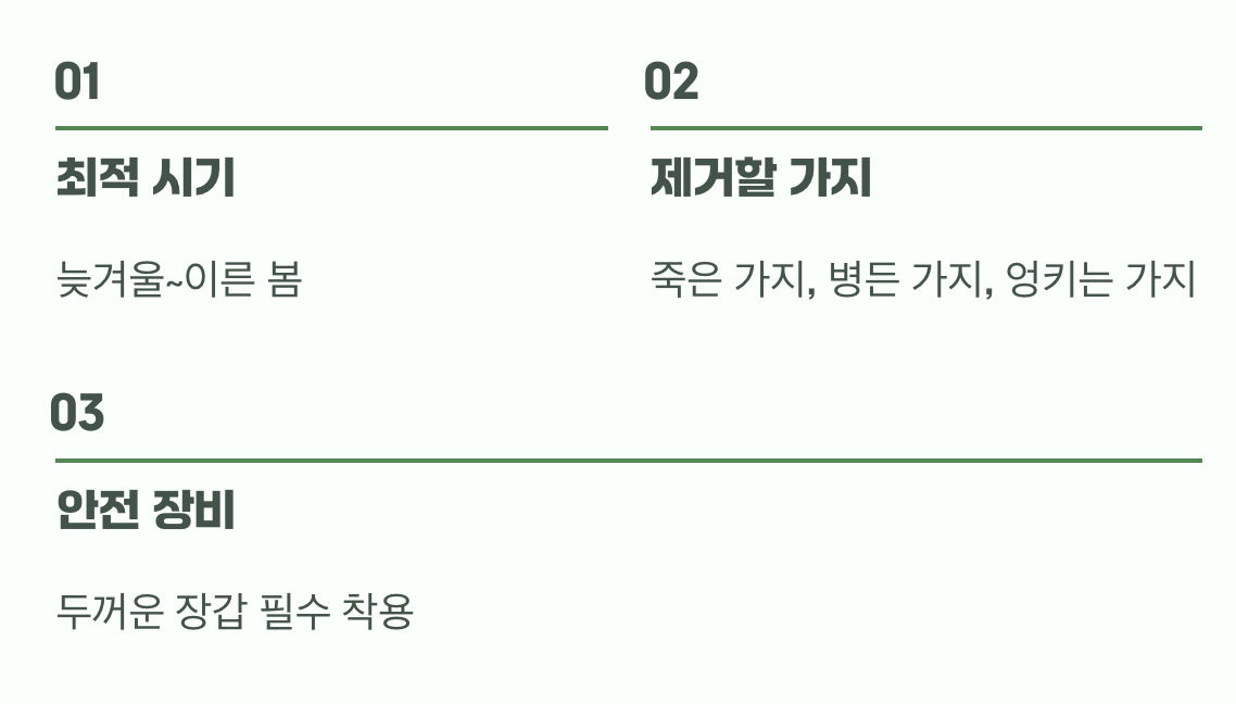 비결 3. 멋진 수형을 위한 '가지치기'