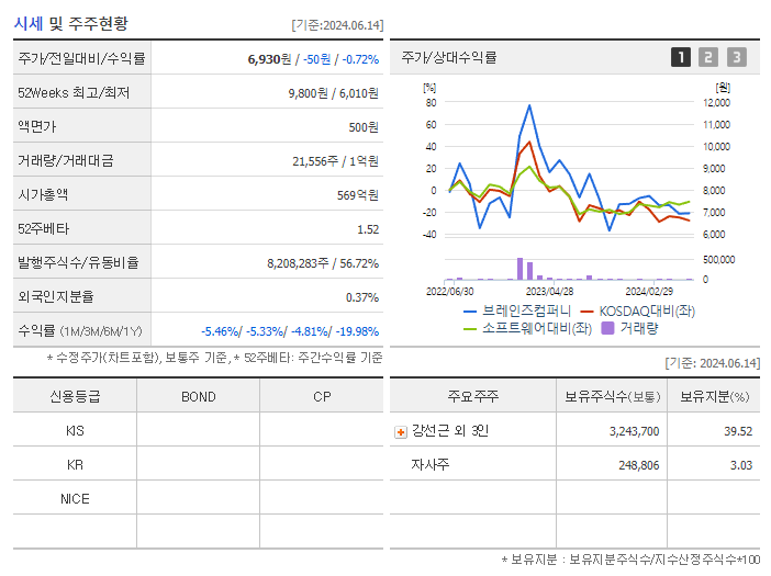 브레인즈컴퍼니_기업개요