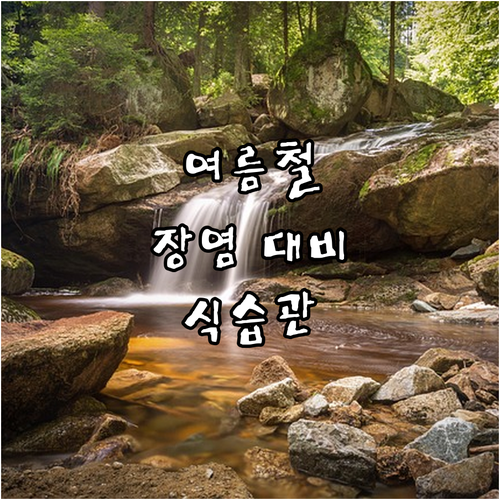 여름철 장염 완벽 대비! 식습관으로 ..