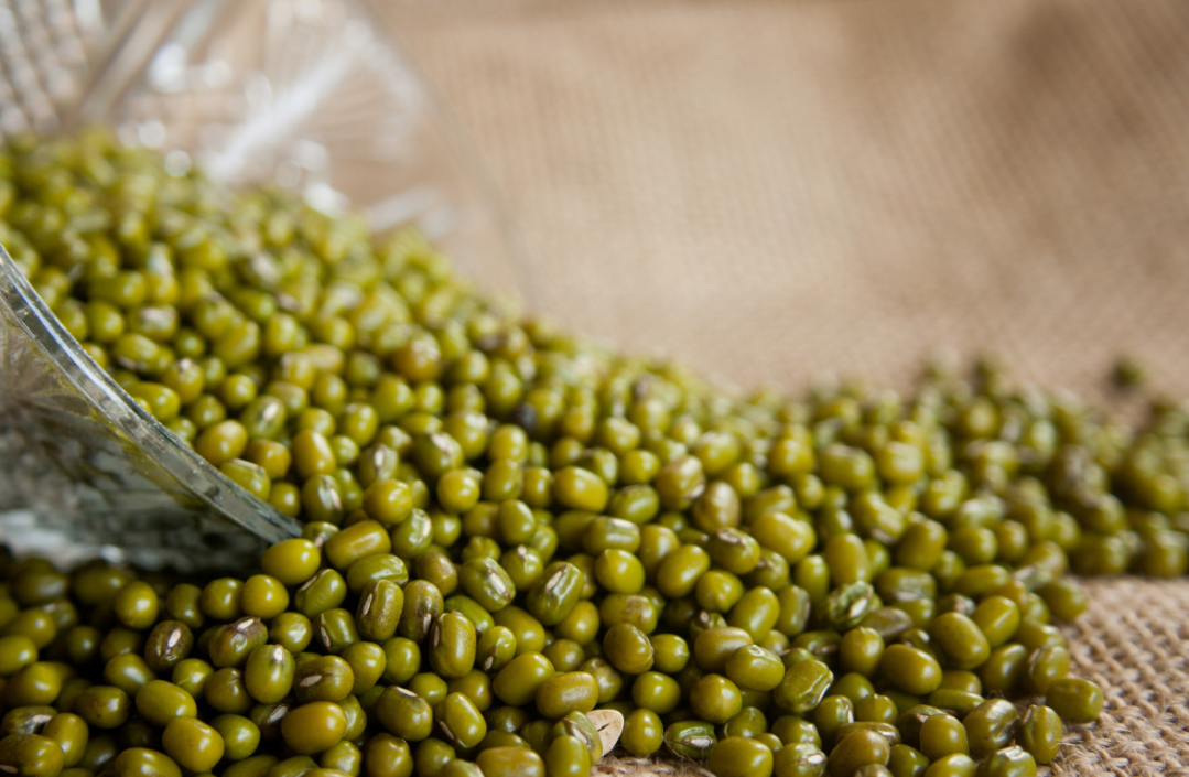 녹두_효능