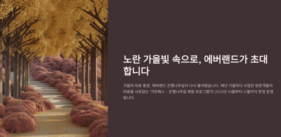 에버랜드은행나무-사진7