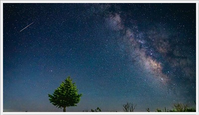 대관령 안반데기 메밀꽃밭