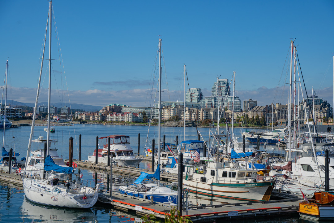 빅토리아 아일랜드 하버타운