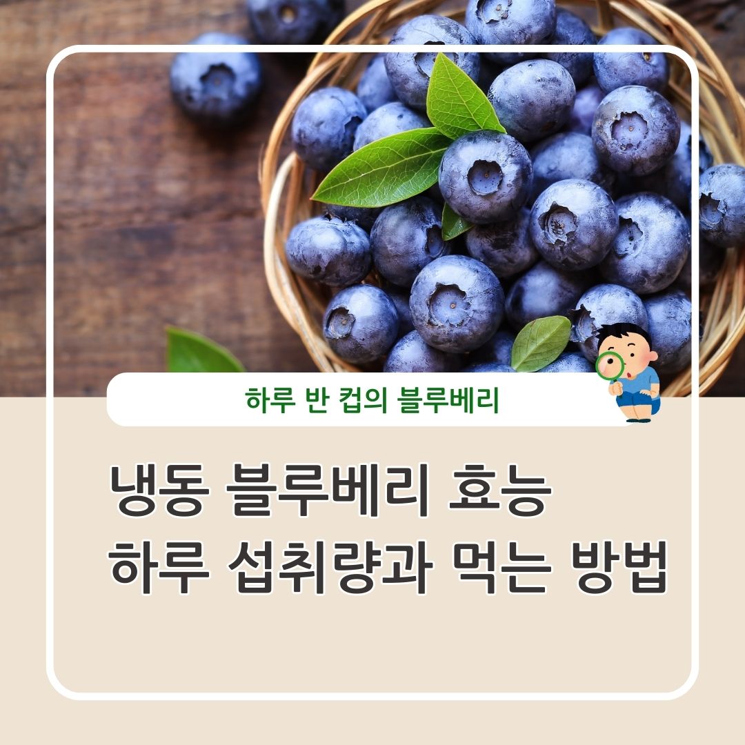 냉동 블루베리 섭취량 먹는 방법
