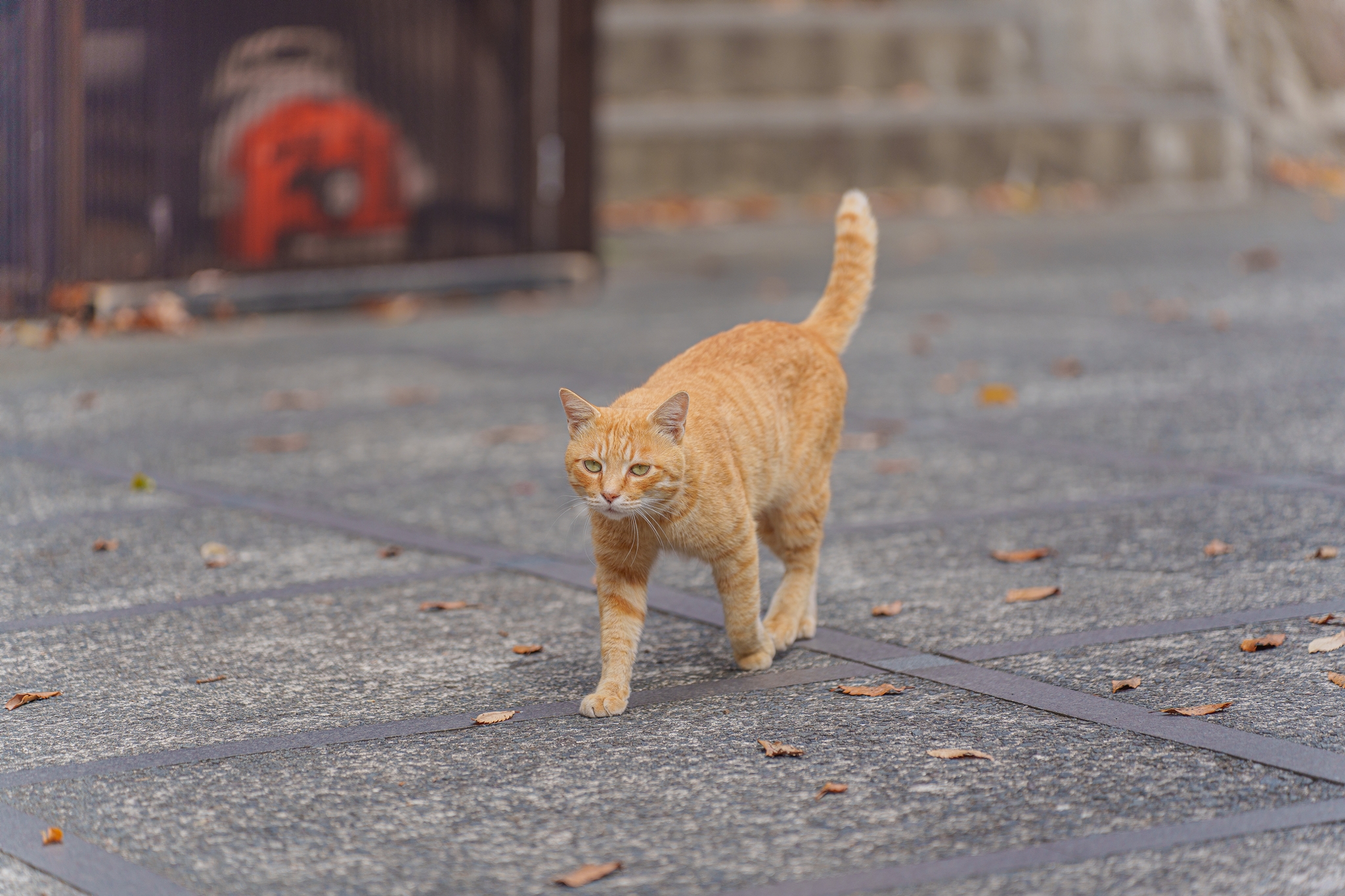 #후쿠오카온천 #일본온천 #규슈온천 #오이타온천 #구마모토온천 #와키타온천 #하라즈루온천 #기쿠치온천 #히라야마온천 #유후인온천 #우레시노온천 #벳푸온천 #유노히라온천 #아마가세온천 #온천료칸 #일본온천여행 #후쿠오카여행 #겨울온천