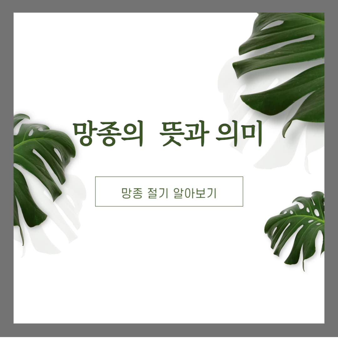 2024s년-망종