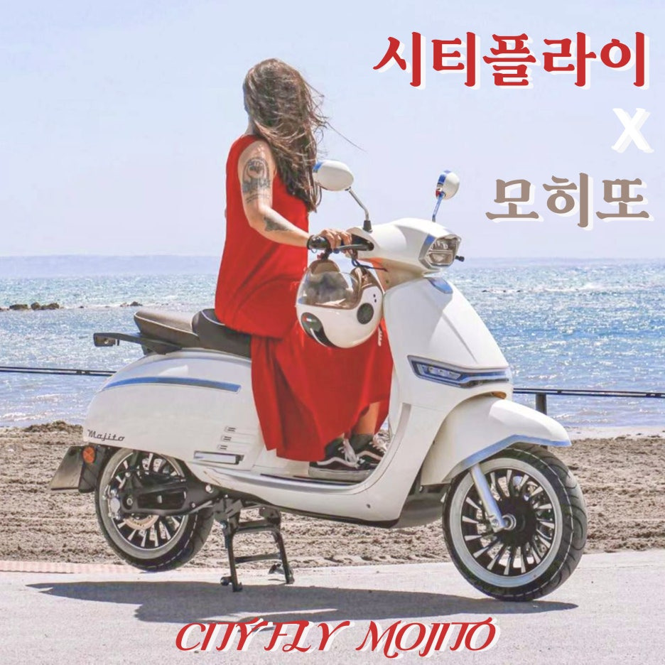 수원 전기스쿠터 판매점: 시티플라이 모히또-시승 가능, 배달용 출퇴근용 전동스쿠터 추천, 안양 용인 안산 화성 동탄
