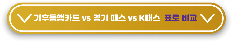 기후동행-경기패스-케이패스-