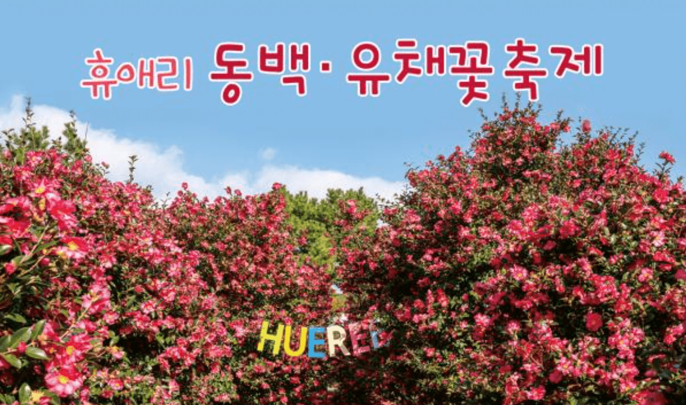 2024년 제주도 2월 축제 가볼만한 곳 추천