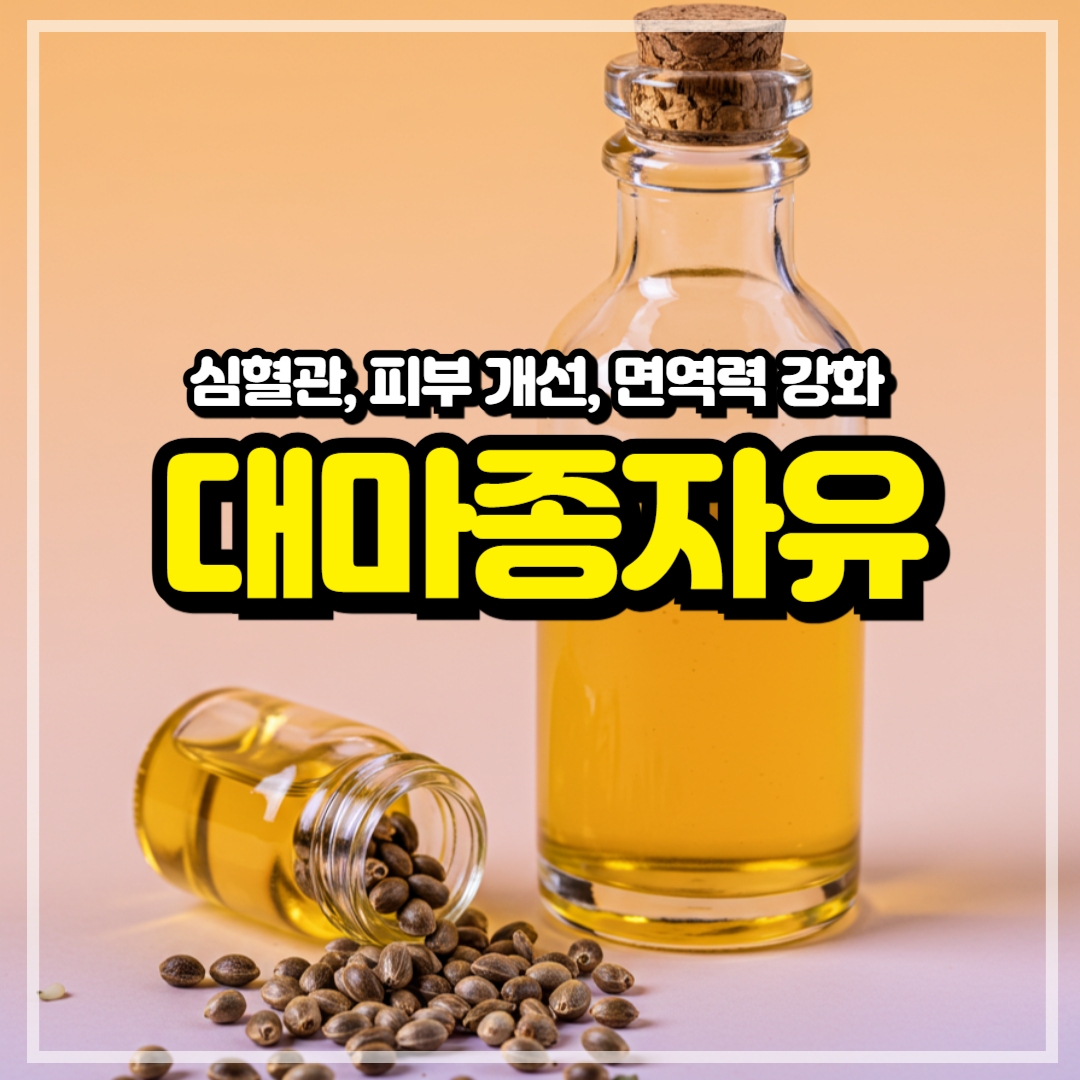 대마종자유 효능 먹는법! 오메가3 비교