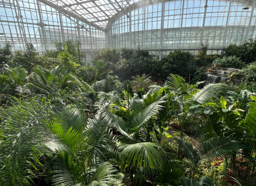 국립세종수목원 열대온실 전경