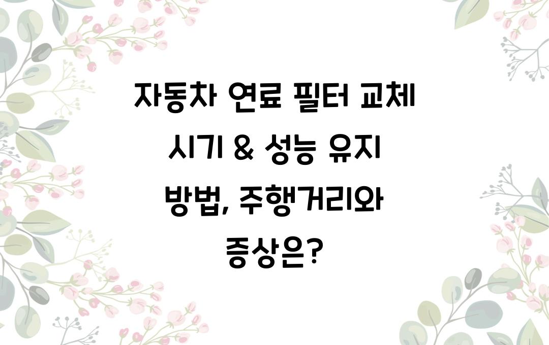 자동차 연료 필터 교체 시기 & 성능 유지 방법