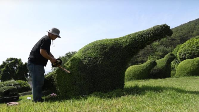 한국인의 밥상 남해 창선도 아버지의 정원 썸네일