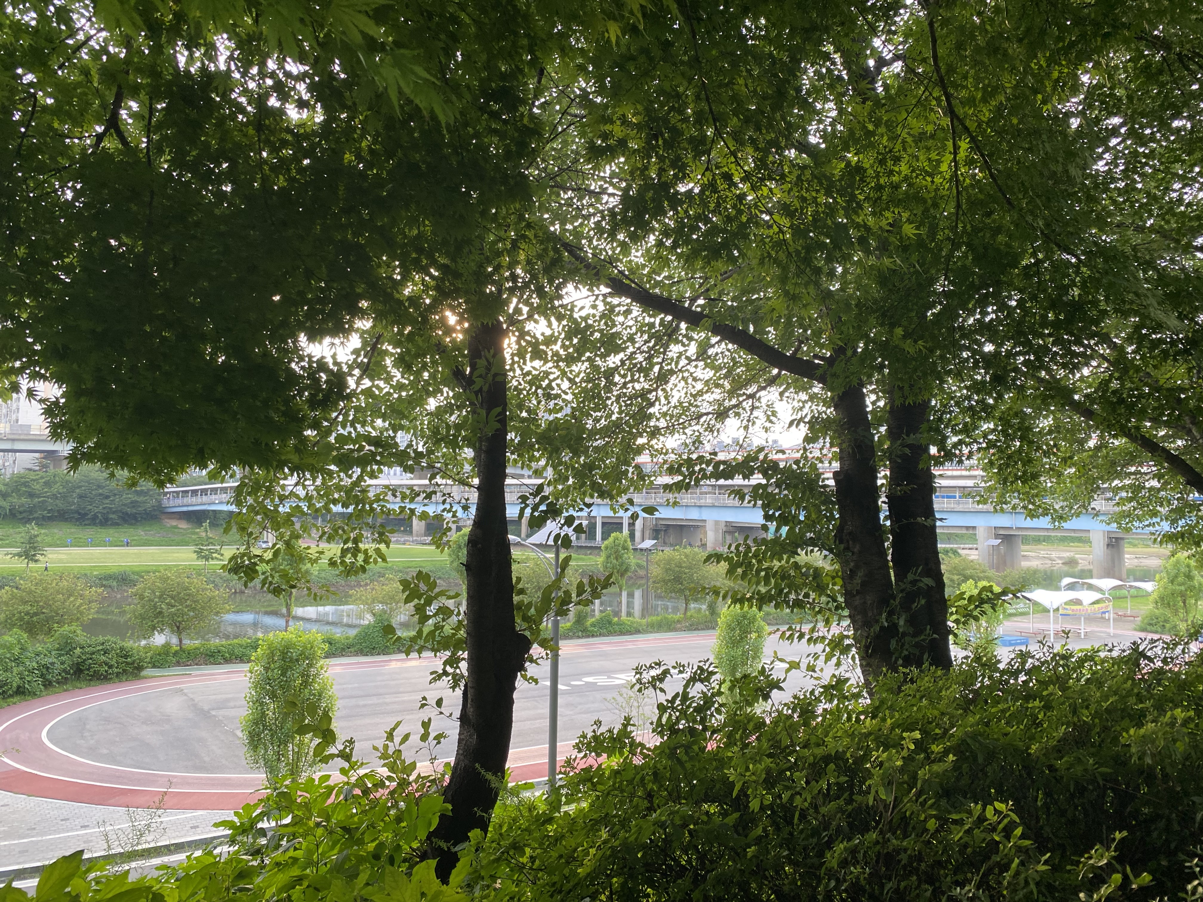 Alt 속성 문제 해결 설명 이미지