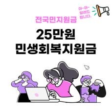 민생지원금 25만원