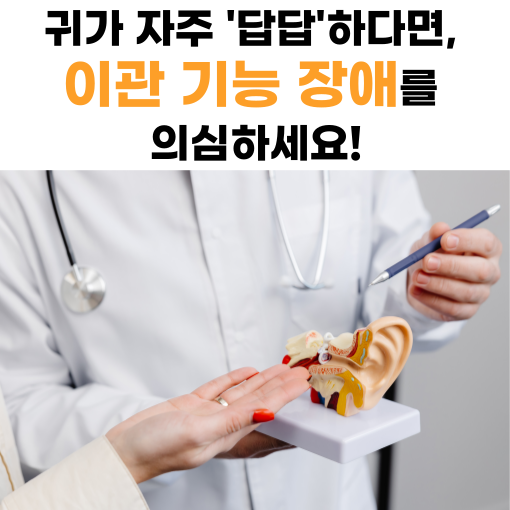 이관-기능-장애