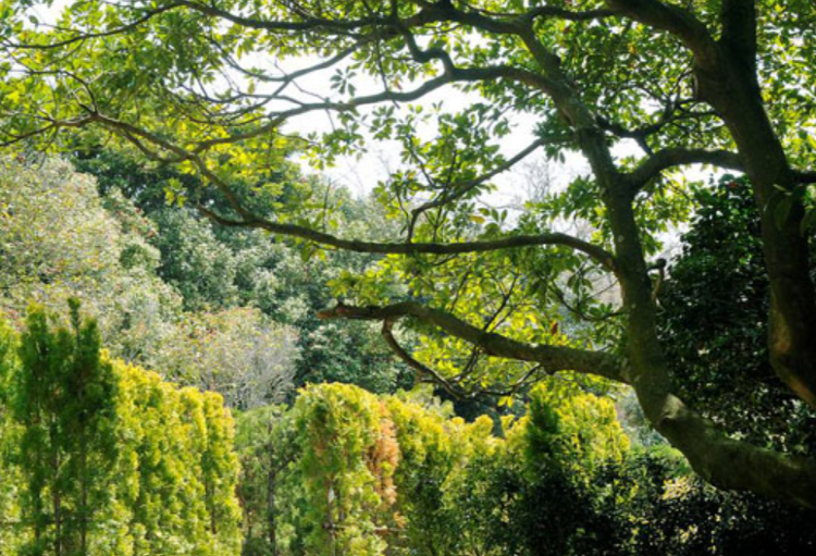 장사도 해상공원