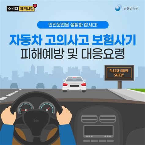 자동차 보험사기