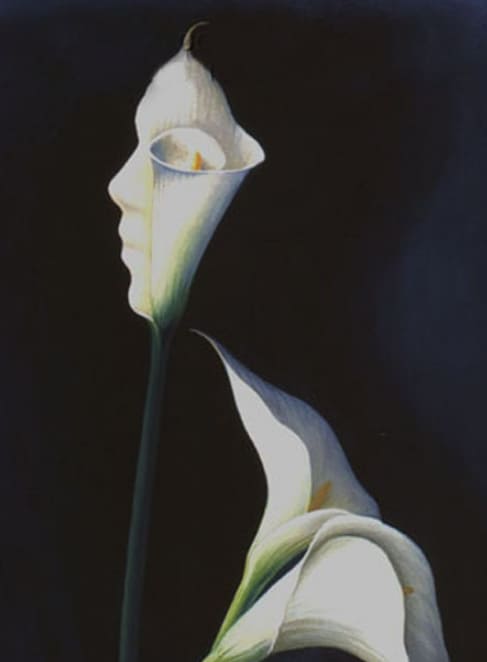 혼자하는 자신의 성격 테스트...여성이 먼저냐 꽃이 먼저냐 What You See First Reveals If You Are Sensitive or Superficial? Optical Illusion Test