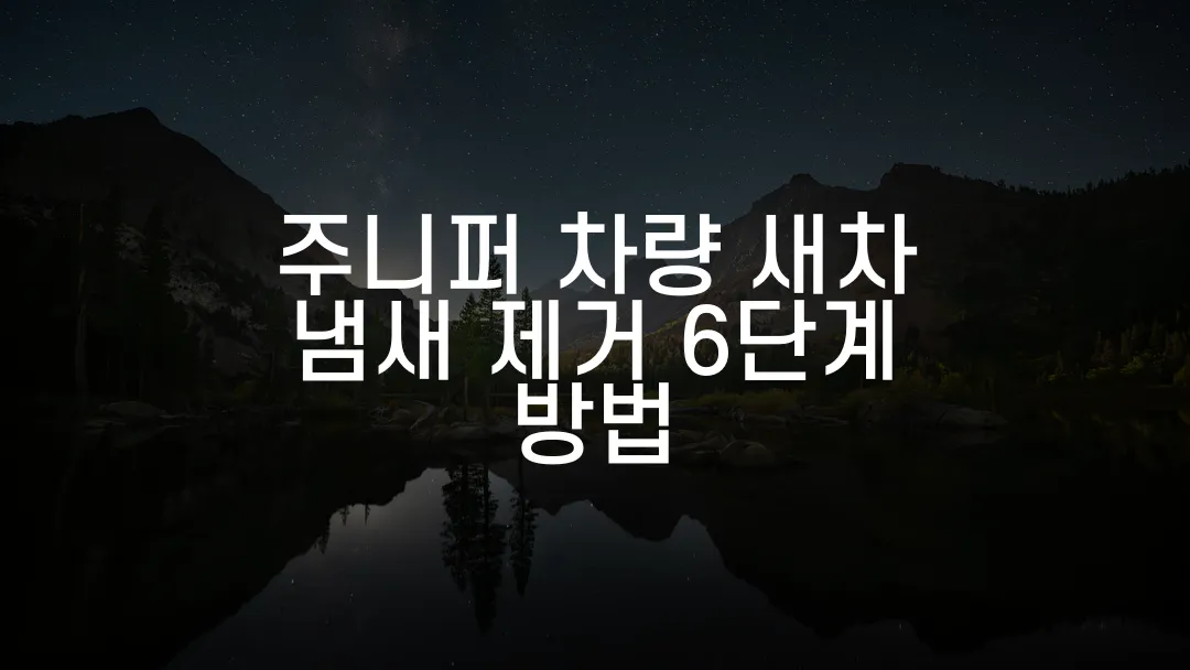 주니퍼 차량 새차 냄새 제거 6단계 방법
