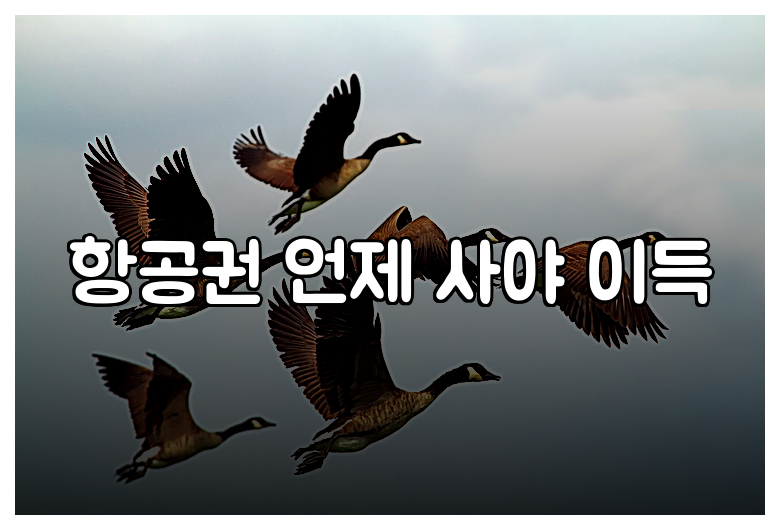 항공권 언제 사야 이득