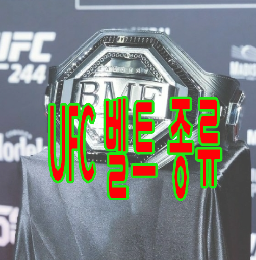 UFC 벨트 종류