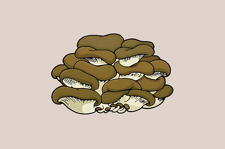 느타리버섯-하루-섭취-권장량