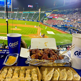 야구 직관 꿀팁 총정리 – 예매, 좌석 추천, 응원까지 완벽 준비!