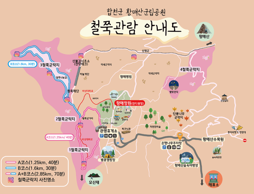 황매산-철쭉축제