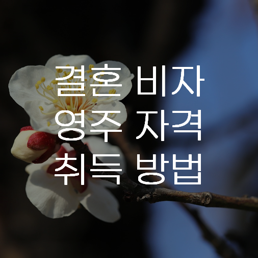 결혼 비자, 영주 비자
