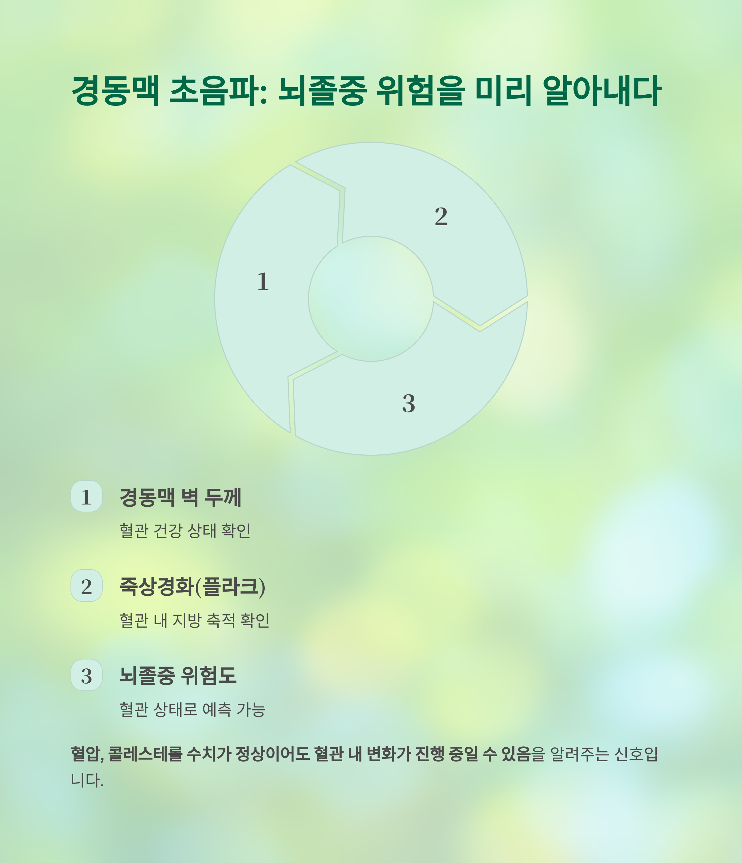 초음파로 조기 발견 가능한 숨겨진 질환들, 놓치면 치명적입니다 - 초음파 검사로 어떤 질환들을 미리 발견할 수 있나요? - 경동맥 초음파로 뇌졸중 위험까지 예측 초음파로 조기 발견 가능한 숨겨진 질환들, 놓치면 치명적입니다 - 초음파 검사로 어떤 질환들을 미리 발견할 수 있나요? - 경동맥 초음파로 뇌졸중 위험까지 예측