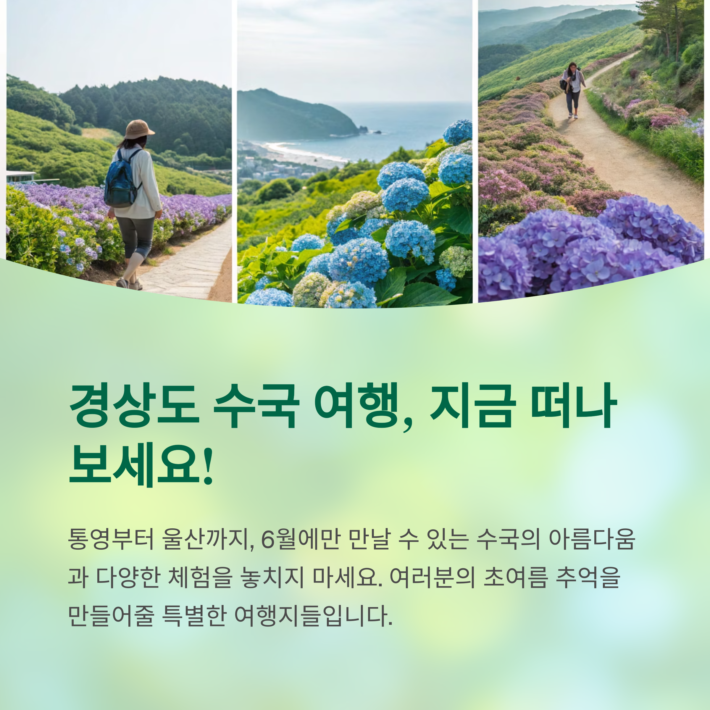 경상도 수국 여행, 지금 떠나 보세요