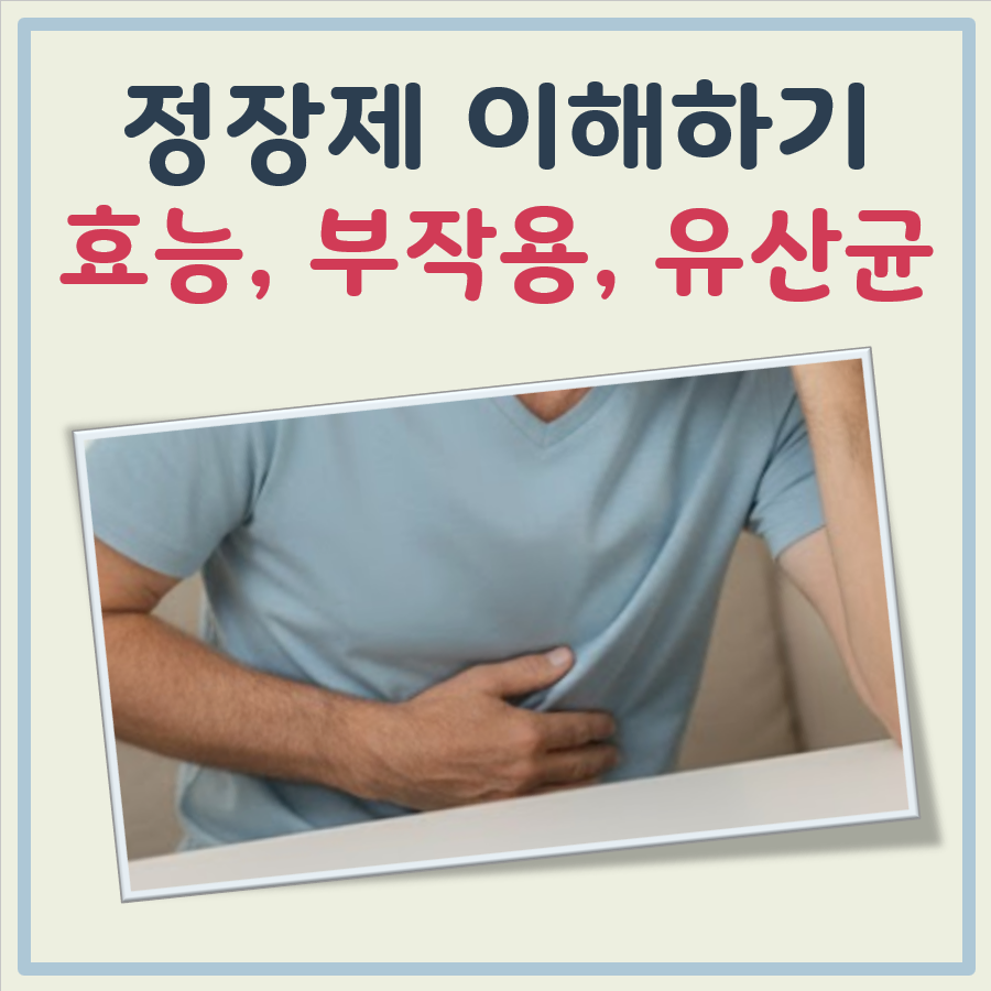 정장제 효능과 부작용(정장제유산균, 소화정장제 설명 포함) 대표 이미지