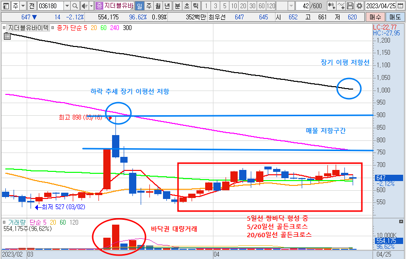 4월 25일 지더블유바이텍 주가 일봉 차트 분석
