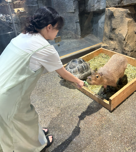 쌍둥이 임신 26주, 배뭉침과 조기진통 구분법