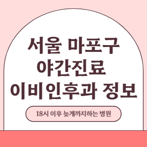 서울 마포구 야간진료 이비인후과 병원 (18시 이후 늦게까지하는 병원)