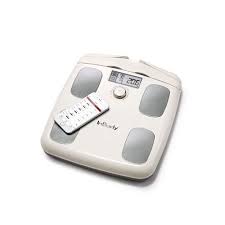 체지방률 정상범위