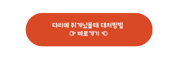 다리에 쥐가났을때 대처방법 바로가기