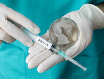 말라리아 증상 예방 치료 백신
