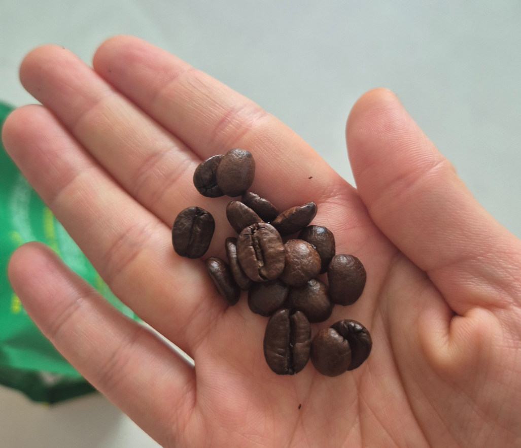 브라질 세하도 원두