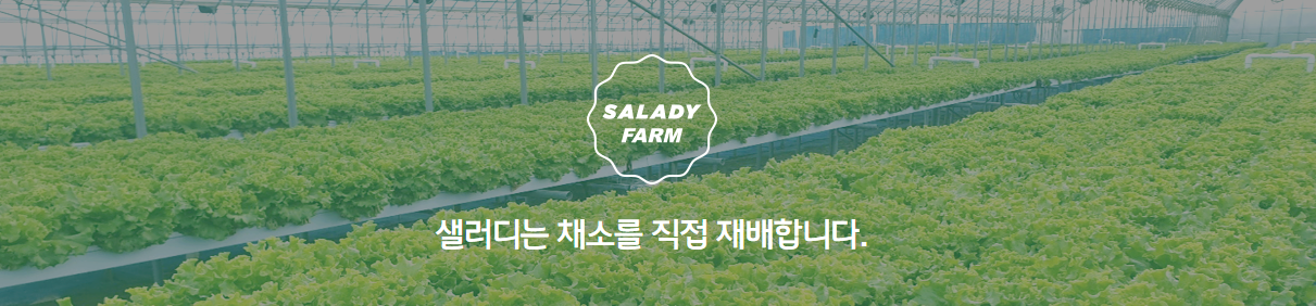 샐러디랩