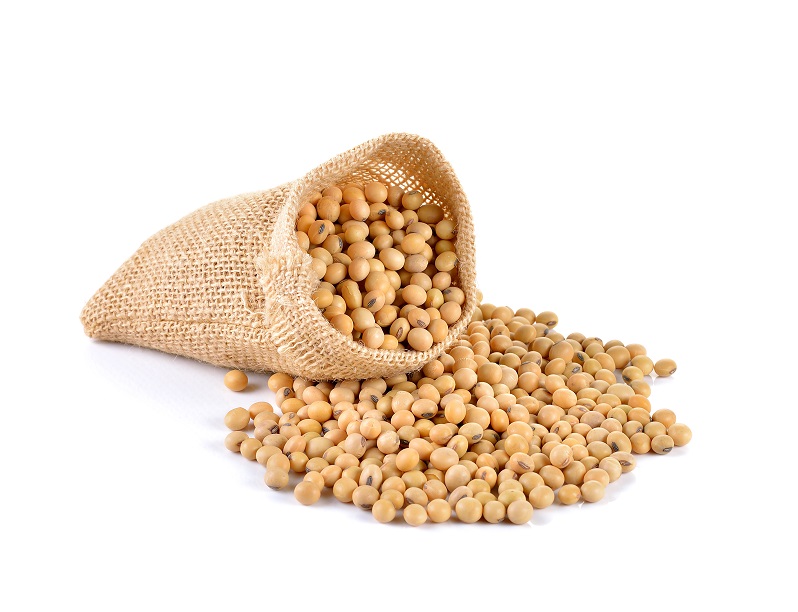 생리통에 좋은 음식 &lt;이소플라본&gt;