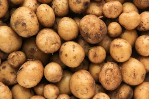 검버섯-없애는-방법